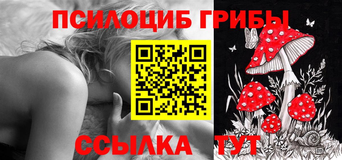 Псилоцибиновые грибы GOLDEN TEACHER  Псилоцибиновые грибы Psilocybe  Вход с VPN  купить  цена  Одинцово 